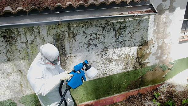 Top rated local Mold Cleanup specialists in Dry Run, PA
